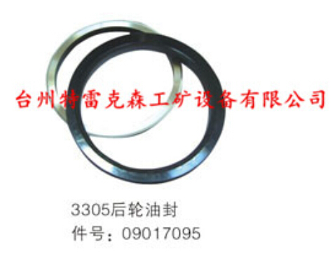 3305后轮油封09017095