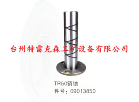 TR50销轴，09013850