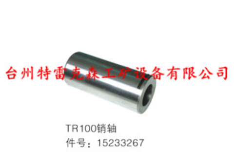 TR100销轴15233267