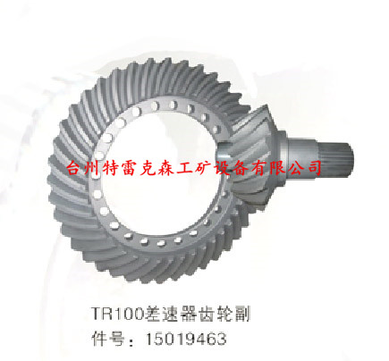 TR100差速器齿轮副15019463