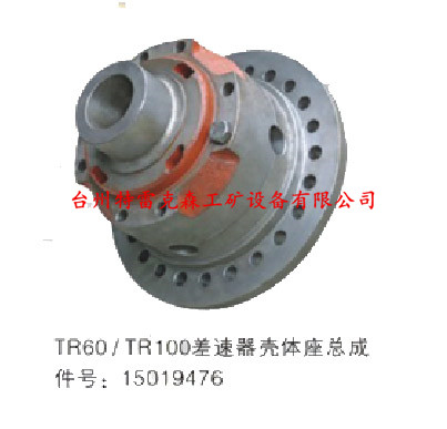 TR100差速器总成15019476