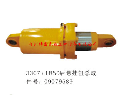 TR50后悬挂缸总成09079589